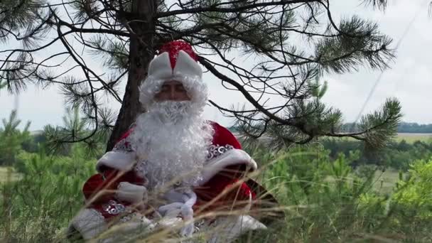 Vader Frost Zit Een Dennenboom Het Nieuwjaarskarakter Houding Van Een — Stockvideo