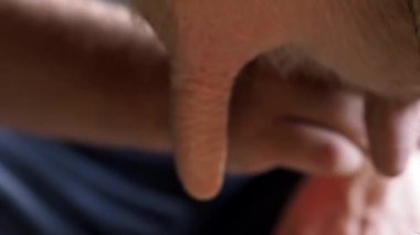 Adam inek sağıyor. Çiftlikteki barakadaki kişi inekten süt alıyor..