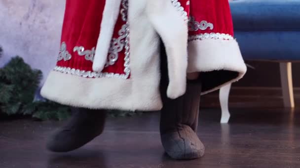 Vadertje Vorst Dansen Valenoks Close Het Sprookje Van Het Nieuwjaar — Stockvideo