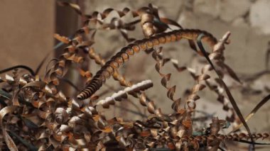 Metal tıraş dalgalar üzerinde rüzgar. Metal işleme sonra metal talaşı. Ağır makine alet inşaat üretim kaybı.