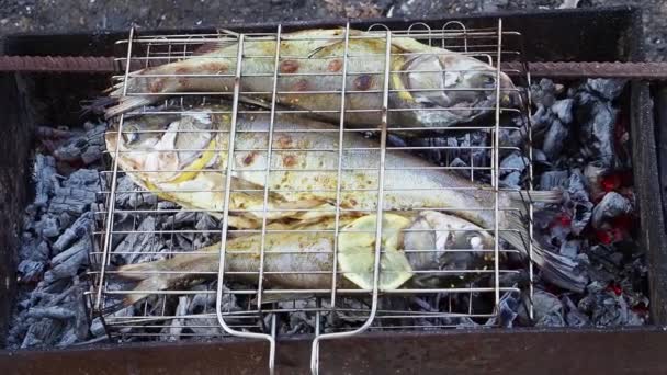 Pada Ikan Bara Dengan Lemon Dipanggang Persiapan Lebih Segar Daripada — Stok Video