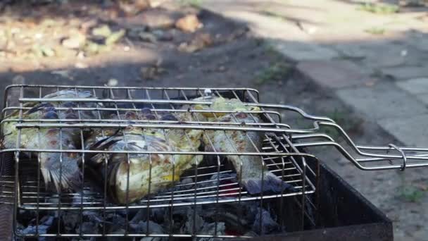 在烤鱼空气融化 闭上你的嘴在户外烧烤时 准备比吃的更新鲜 — 图库视频影像