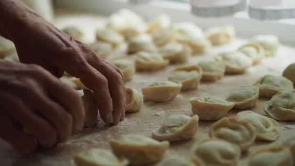 Old Woman Checks Pelmeni Semi Finished Products Lie Table Close — Stock Video