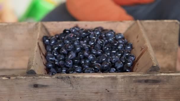 Mannen Roterar Spaken För Mörka Druvor Den Juice Extractor Trä — Stockvideo