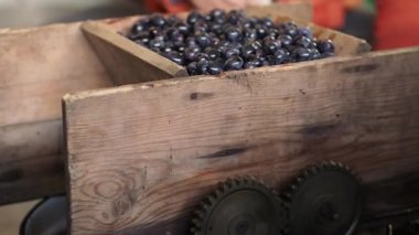 Kişinin kolu, mekanizması çalışır, meyveler Olgun üzüm ovmak döner. Adam kara üzüm suyu extractor işlenmesi için kolu döner. Çilek kaybı görülür.