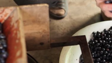Yukarıda ahşap kapasite karanlık üzüm düşer. Adam olgun sulu çilek suyu çıkarıcı içinde yukarı doldurur. Üstten görünüm. Sağdan sola doğru kamera hareketi.