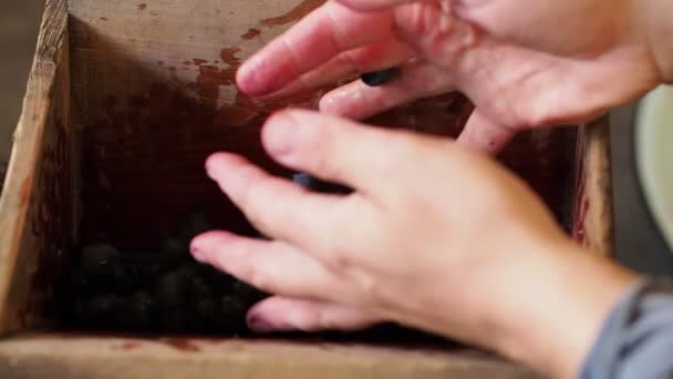 Homem Carrega Uvas Escuras Extrator Suco Equipamento Madeira Para Processamento — Vídeo de Stock