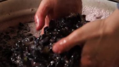 Adam işlenmiş meyveler ve meyve suyu bir kabuğu dokunur. Üzüm ahşap işleme donatımı. Üzüm suyu, şarap, bağımsız üretim.