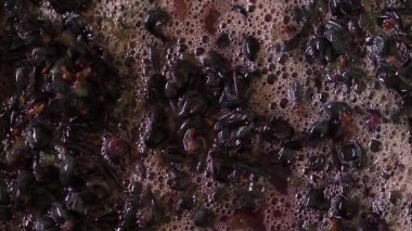 Köpükler ve kabuğu çilek üzüm. Olgun sulu çilek suyu çıkarıcı olarak doldurur. Üstten görünüm. Yakın çekim