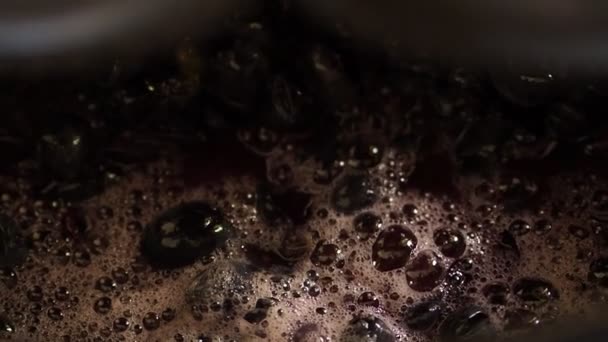 Vindruvor Juice Bearbetning Fyller Upp Mogna Saftiga Bär Den Juice — Stockvideo