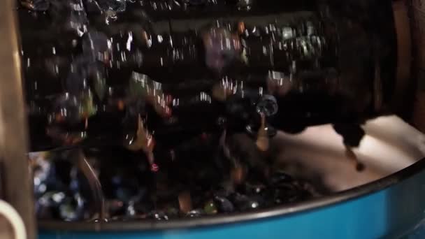 Traitement Des Baies Raisin Ferme Équipement Bois Pour Traitement Des — Video