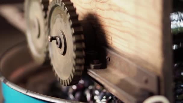 两个齿轮在不同的方向旋转 金属机械的机械加工 葡萄果实的浪费掉了下来 — 图库视频影像