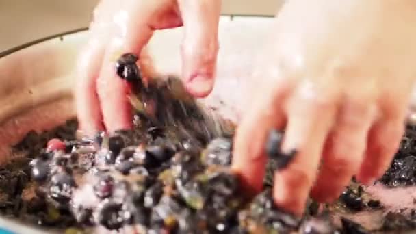这个人摸摸加工过的浆果和果汁中的果皮 用于加工葡萄的木制设备 独立生产葡萄汁 葡萄酒 — 图库视频影像