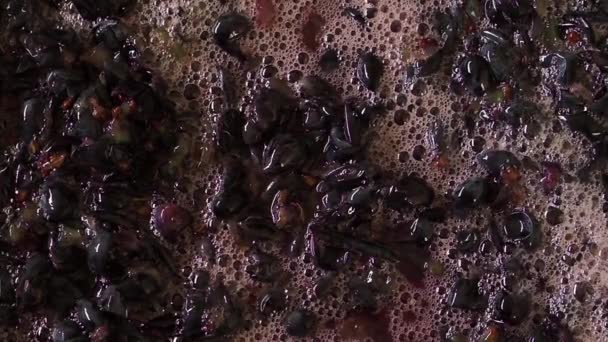 Schaum Und Schale Der Beeren Trauben Füllt Reife Saftige Beeren — Stockvideo