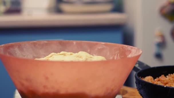 Bol Avec Test Une Poêle Avec Chou Frit Sur Une — Video