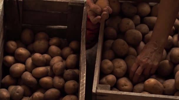 Die ältere Frau wirft Kartoffeln aus einer Schachtel in die andere. Langsame Videoaufnahmen. — Stockvideo