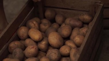 Patates ahşap kutular içinde yaşlı kişi dokunur.