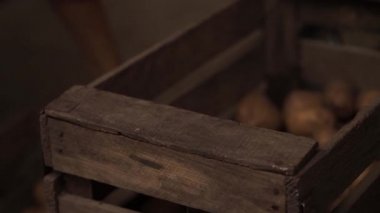 Yaşlı kişi kutuları patates ile yeniden düzenler. Yakın çekim.