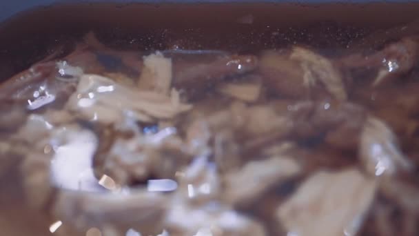 The cook prepares a meat dish with broth. Close up. — Stock Video
