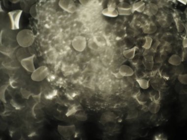 Arka plan sisli cam su damlacıkları ile kaplı