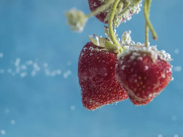 Makro fotografie jahodových bobulí pokrytých vzduchovým bublinek — Stock fotografie