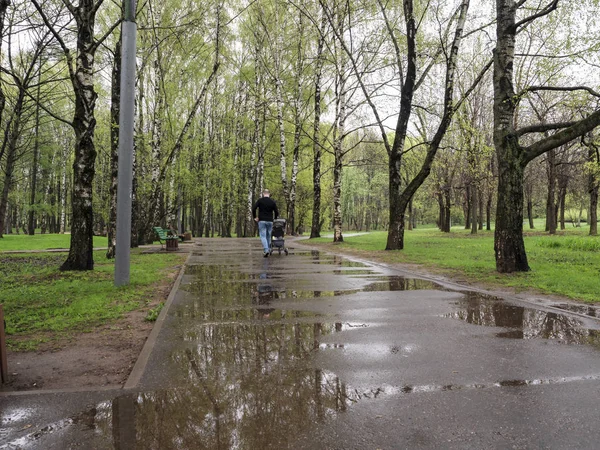 Callejón en el parque después de la lluvia — Foto de Stock