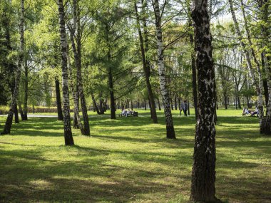 Park'taki tatilciler zaman geçiriyor