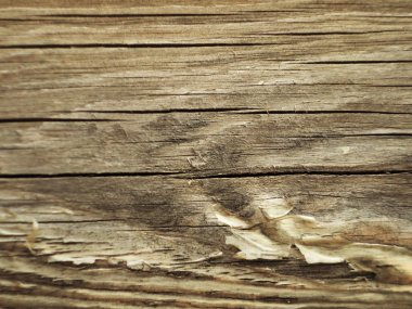 Küçük kırıntıları ile mermer agrega yapılmış gri duvar, yakın görünümü.