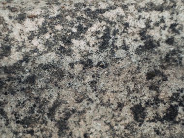 Küçük kırıntıları ile mermer agrega yapılmış gri duvar, yakın görünümü.