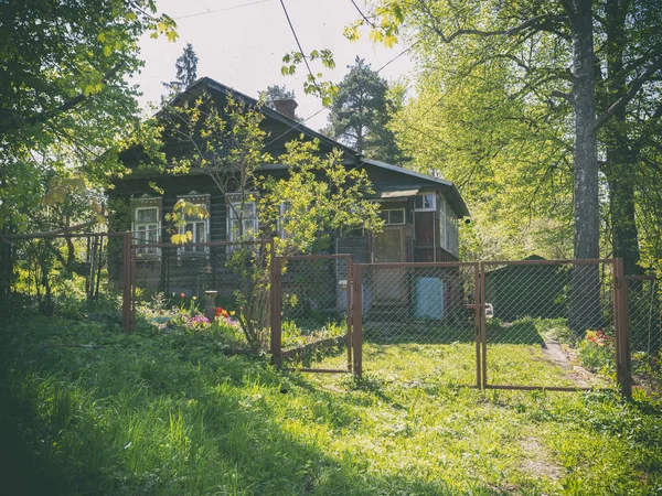 La casa de madera está rodeada de árboles verdes e iluminada por el sol — Foto de Stock