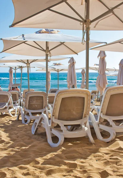 Righe Sedie Reclinabili Plastica Sdraio Lettini Una Spiaggia Sabbia Dorata — Foto Stock