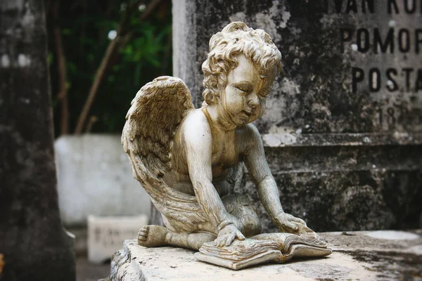 Statua Cherubino Che Legge Libro Sulla Tavola Pietra Una Tomba — Foto Stock