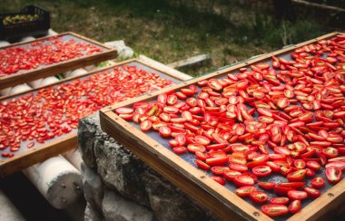 Akdeniz güneşte kurutma güneşte kurutulmuş domates