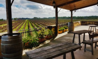 Satır bir bağ ahşap masa ve sandalyeler ile villa balkonundan Vines bir görünüm