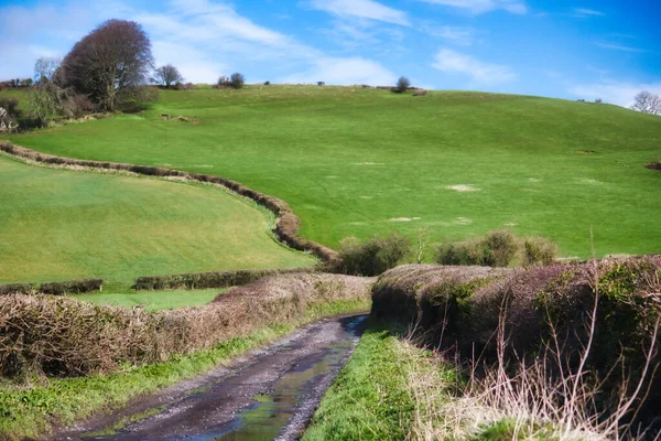 在没有人的英国乡村 绿草茂盛 蓝天苍翠 风景如画 山峦翻滚 — 图库照片