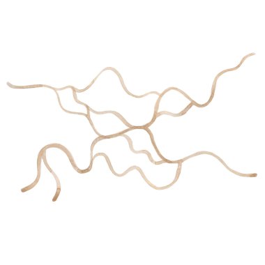 Yerel harita. Bir rota haritası oluşturmak için suluboya ayarlandı. Yol, ağaçlar, evler, araçlar ve arabalar, göl.