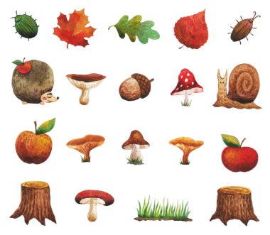Doğanın sonbahar hediyeleri. Elmalar, ağaç kütükleri, sonbahar yaprakları, böcekler, mantarlar.,