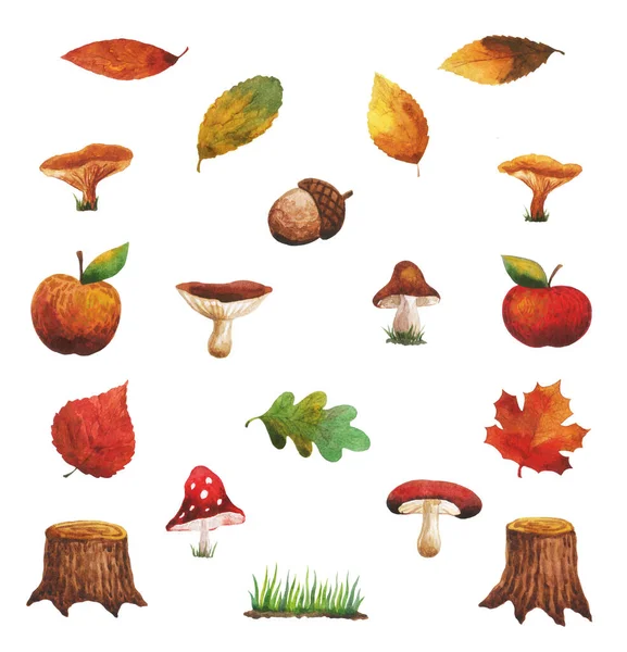 Doğanın sonbahar hediyeleri. Elmalar, ağaç kütükleri, sonbahar yaprakları, böcekler, mantarlar.,