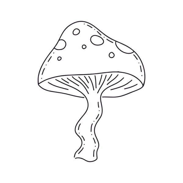 法术药用手绘蘑菇 万圣节的神秘矢量图解 秋天万圣节卡通片风格的美丽图标 — 图库矢量图片