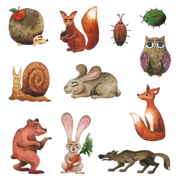水彩画集森林动物 野生动物画贴纸 — 图库照片