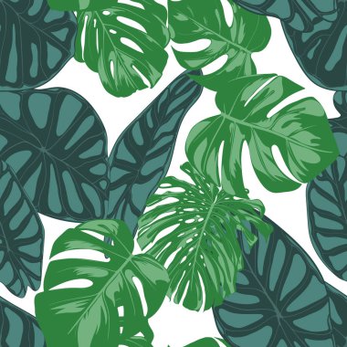 Sorunsuz elle çizilmiş botanik egzotik desenle bitkiyi ve Alocasia bırakır. Vektör orman bitki örtüsü suluboya tarzında. Tekstil, kumaş, kumaş, kağıt için sorunsuz Tropic yaprak arka plan.