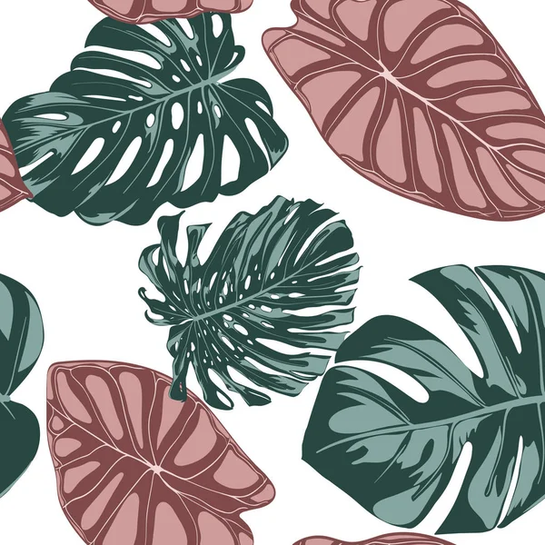 Tropisk djungel blad. Vector sömlösa mönster. Philodendron eller Monstera växt upprepa bakgrund för textil, tapet, sommaren dekoration. Sömlös blommönster med Alocasia och Monstera blad. — Stock vektor