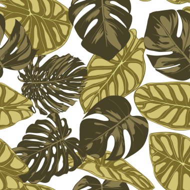 Tropikal yaprak. Monstera ve Alocasia elle çizilmiş yaprakları ile Seamless modeli. Tekstil, kumaş için egzotik uyum. Vektör sorunsuz arka plan tropik bitkiler ile. Orman bitki örtüsü. Suluboya efekti.