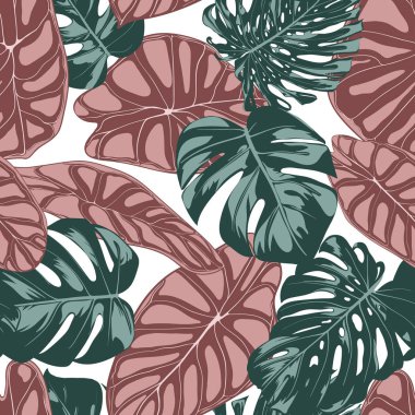 Tropikal orman yaprakları. Vektör Seamless modeli. Bitkiyi veya Monstera bitki arka plan Tekstil, duvar kağıdı, yaz dekorasyon için yinelenen. Alocasia ve Monstera yaprak çiçek Seamless modeli.