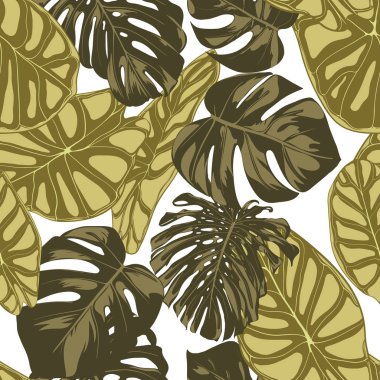 Tropikal yaprak. Monstera ve Alocasia elle çizilmiş yaprakları ile Seamless modeli. Tekstil, kumaş için egzotik uyum. Vektör sorunsuz arka plan tropik bitkiler ile. Orman bitki örtüsü. Suluboya efekti.