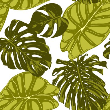 Tropikal yaprak. Monstera ve Alocasia elle çizilmiş yaprakları ile Seamless modeli. Tekstil, kumaş için egzotik uyum. Vektör sorunsuz arka plan tropik bitkiler ile. Orman bitki örtüsü. Suluboya efekti.