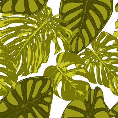Tropikal yaprak. Monstera ve Alocasia elle çizilmiş yaprakları ile Seamless modeli. Tekstil, kumaş için egzotik uyum. Vektör sorunsuz arka plan tropik bitkiler ile. Orman bitki örtüsü. Suluboya efekti.