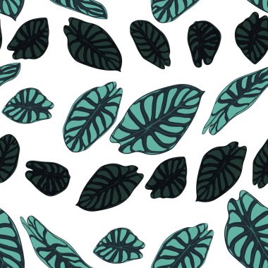 Dikişsiz tropikal desen. Yağmur ormanı bitkiler ile modaya uygun arka plan. Alocasia vektör yaprak. Yılanyastığıgiller. Orman yeşillik suluboya tarzında el yazısı. Tekstil, kumaş için seamless egzotik modeli.