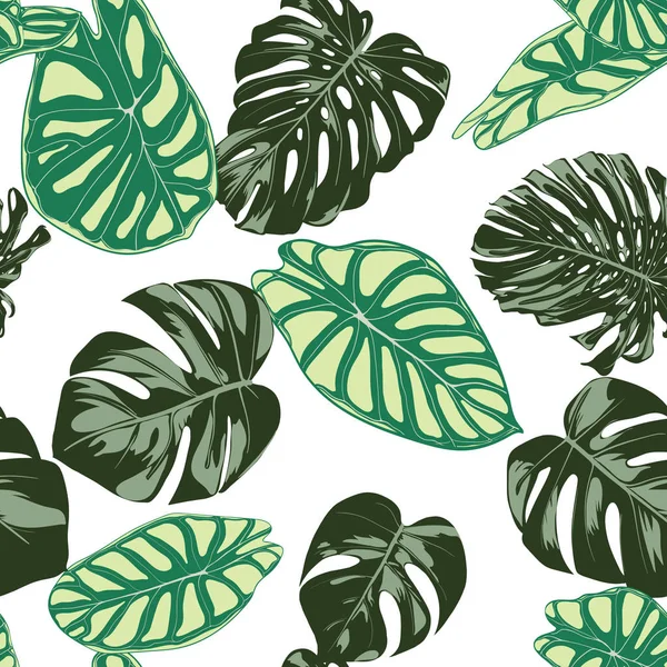 Tropik bitkiler ile Seamless egzotik modeli. Vektör arka plan el çizmek Monstera Palm ile bırakır. Parlak Rapport kumaş, tekstil tasarımı için. Orman bitki örtüsü. Alocasia ile Dikişsiz tropikal desen. — Stok Vektör