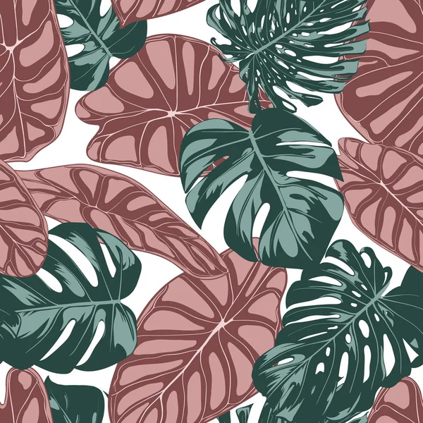 Tropikal orman yaprakları. Vektör Seamless modeli. Bitkiyi veya Monstera bitki arka plan Tekstil, duvar kağıdı, yaz dekorasyon için yinelenen. Alocasia ve Monstera yaprak çiçek Seamless modeli. — Stok Vektör